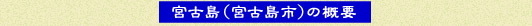宮古島(宮古島市)の概要