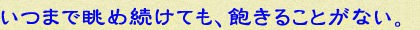 いつまで眺め続けても、飽きることがない。
